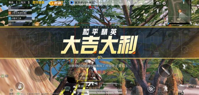 和平精英透视科技 - 实战型透视增强辅助